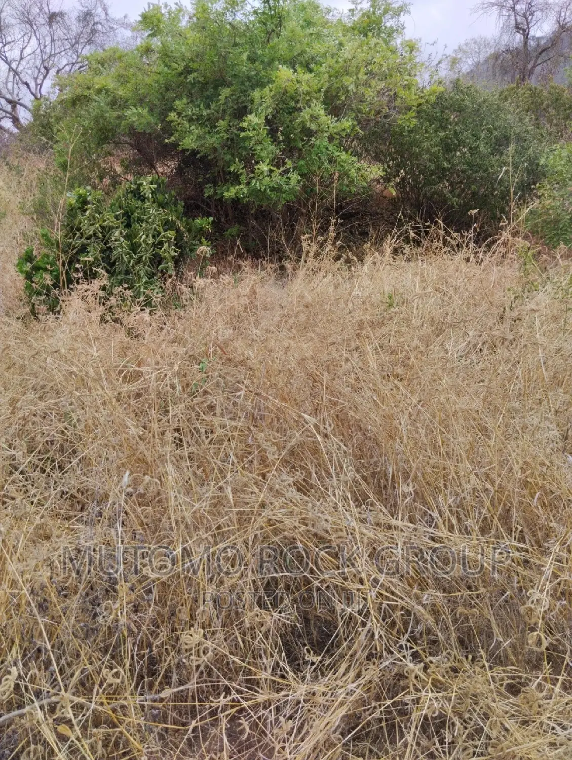 100acres for Sale With Title in Mutomo