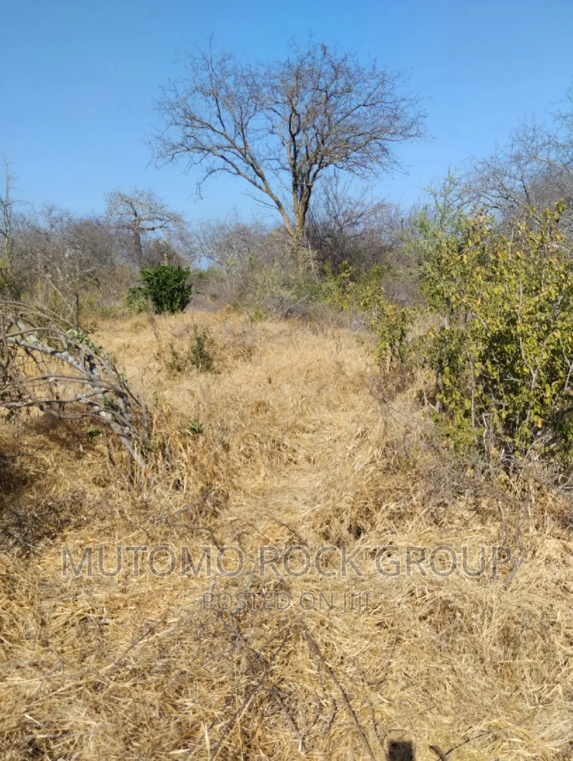 14 Acres for Sale in Mutomo