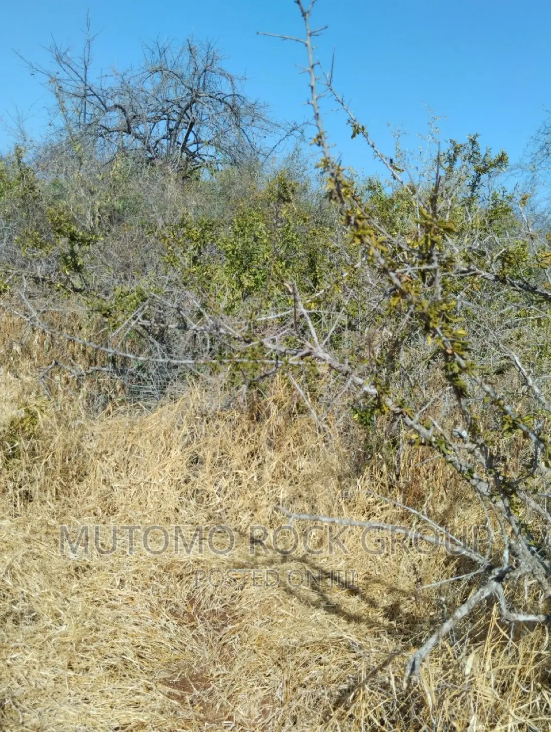 14 Acres for Sale in Mutomo