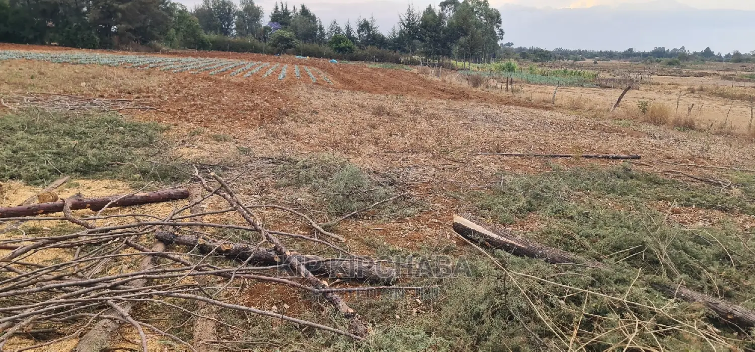 Cheap 1/4 Acre Land for Sale in Chepkanga Willow Tree Eldoret - Don't Miss Out! in Kimumu
