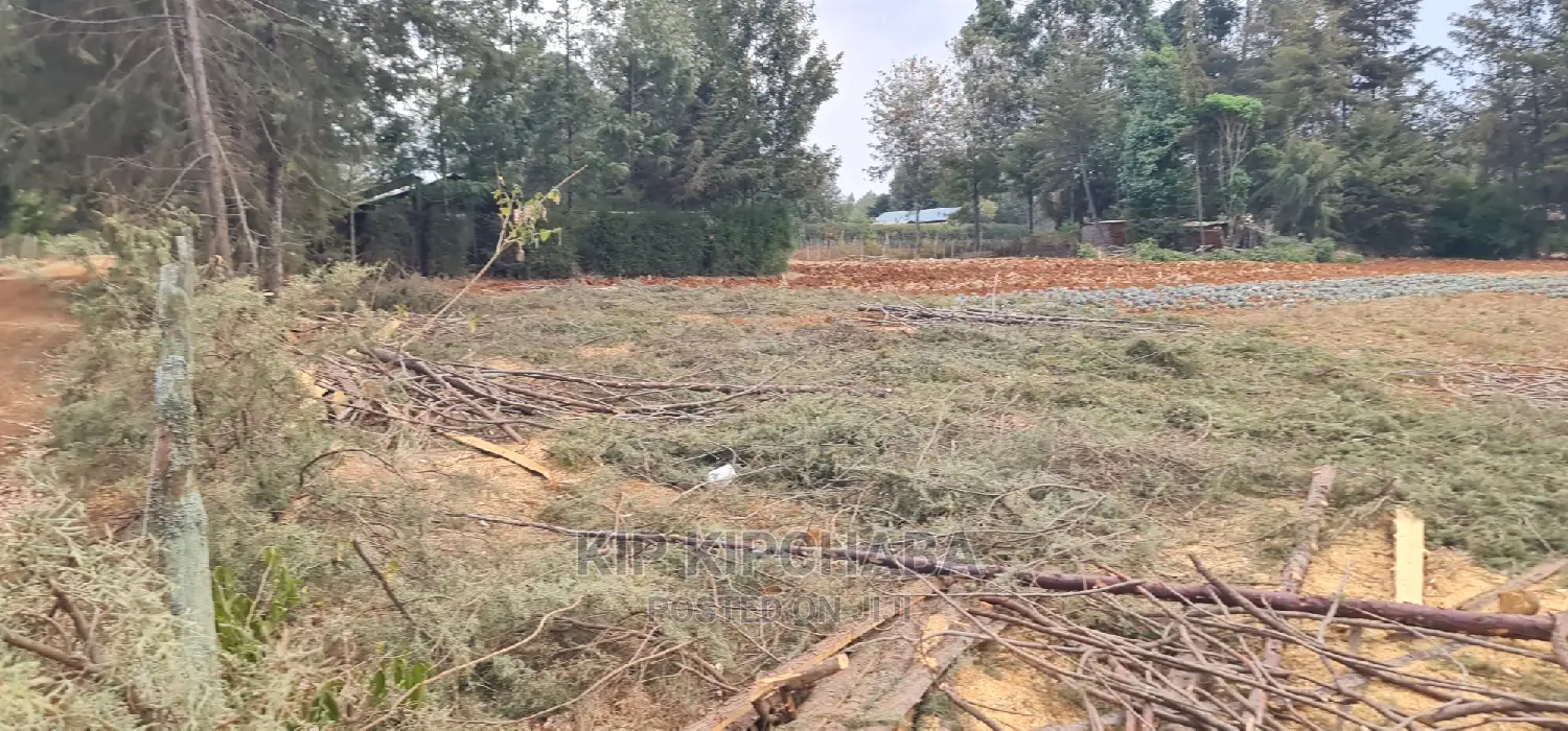 Cheap 1/4 Acre Land for Sale in Chepkanga Willow Tree Eldoret - Don't Miss Out! in Kimumu