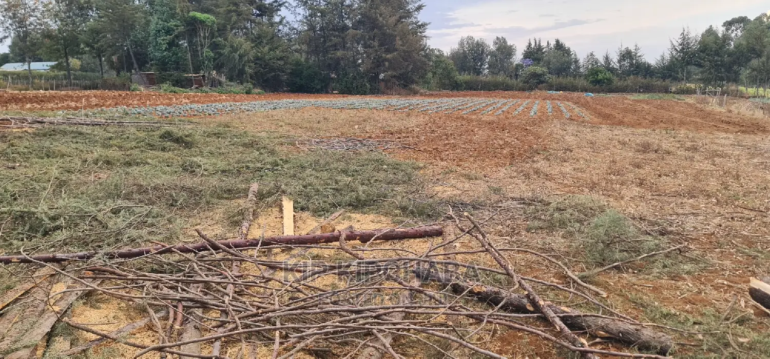 Cheap 1/4 Acre Land for Sale in Chepkanga Willow Tree Eldoret - Don't Miss Out! in Kimumu