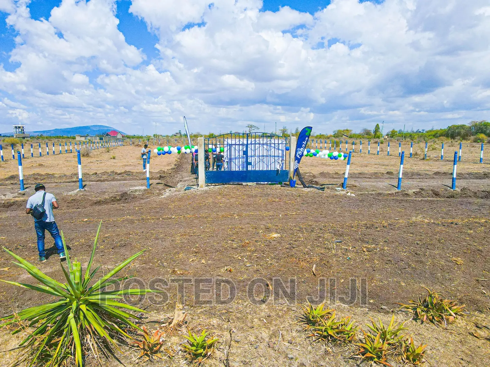 Own a Land in Kamakis in Kamakis