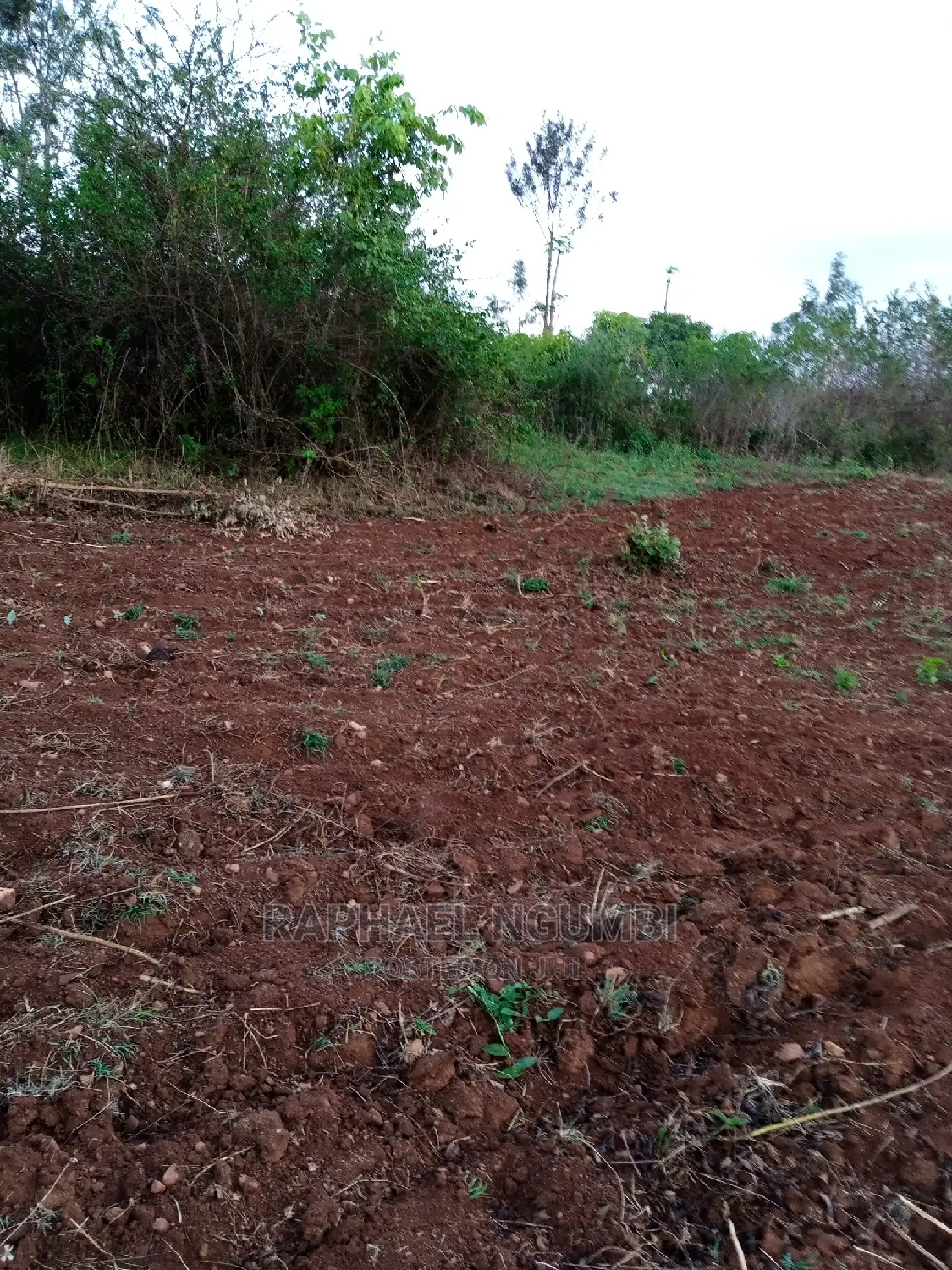 14-Acre Land Parcel in Kithyoko - Prime Agricultural or Residential Development Site in Yatta