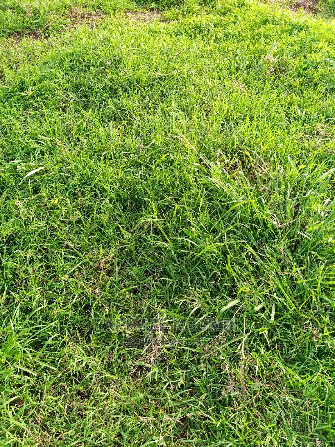 14-Acre Land Parcel in Kithyoko - Prime Agricultural or Residential Development Site in Yatta