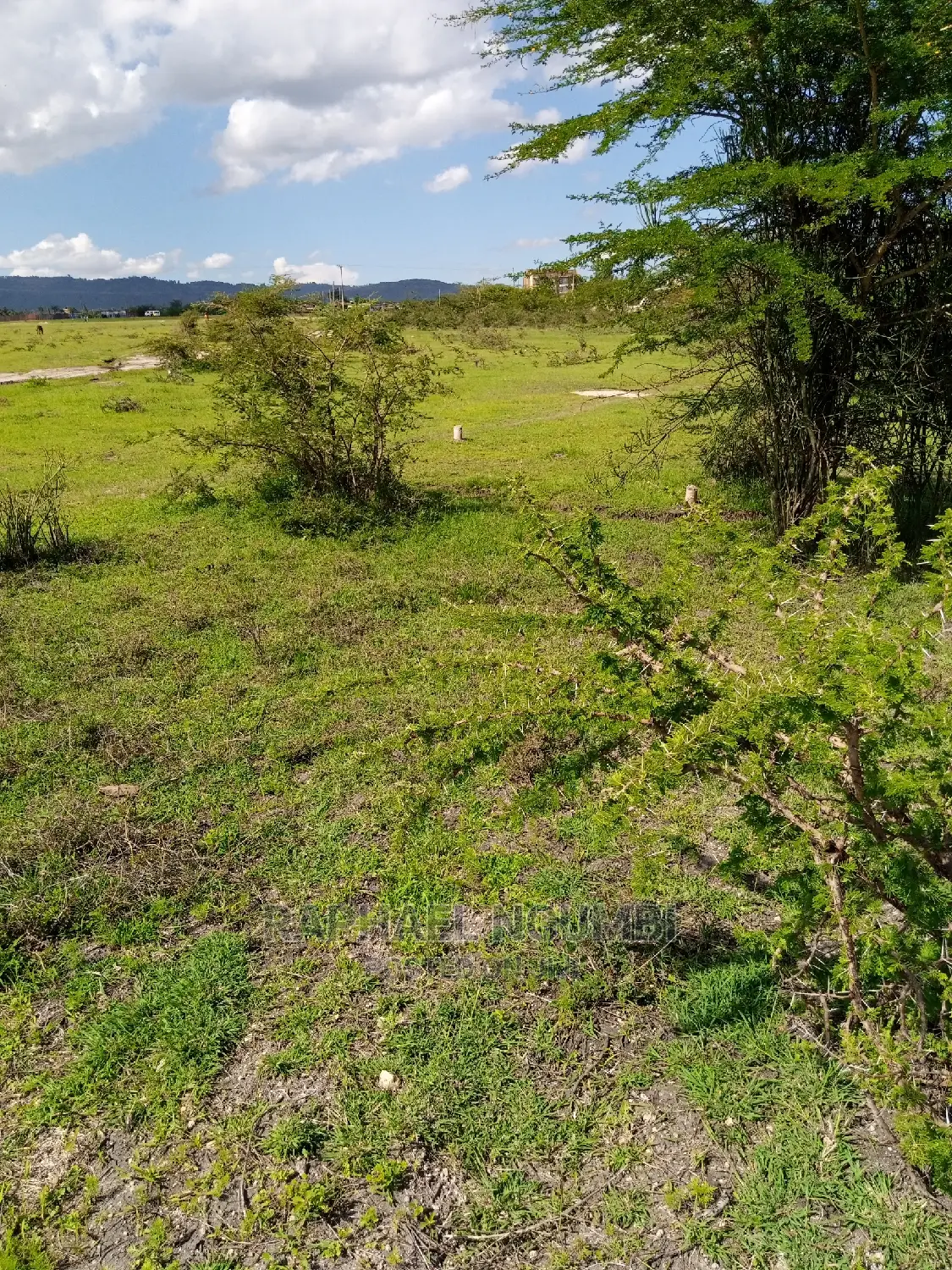 14-Acre Land Parcel in Kithyoko - Prime Agricultural or Residential Development Site in Yatta