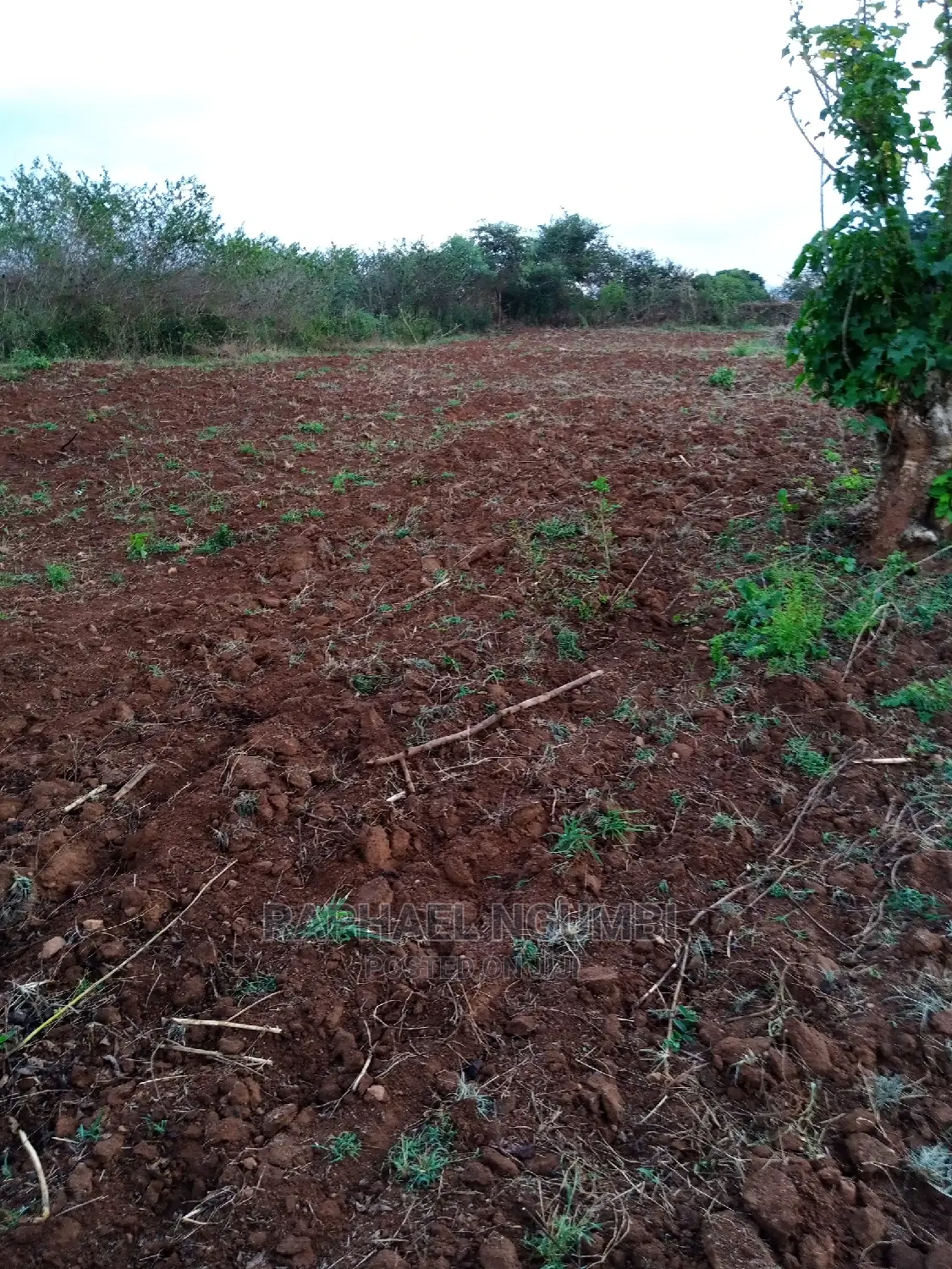 14-Acre Land Parcel in Kithyoko - Prime Agricultural or Residential Development Site in Yatta