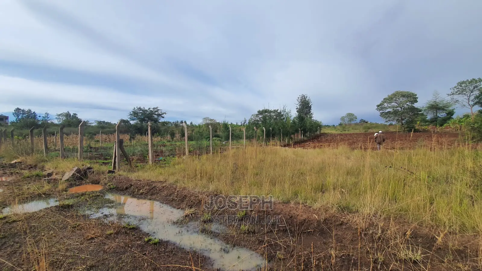 Affordable 1/2 Acre Plot in Thika Westwood Meadows(Karangaita) in Bendor Estate