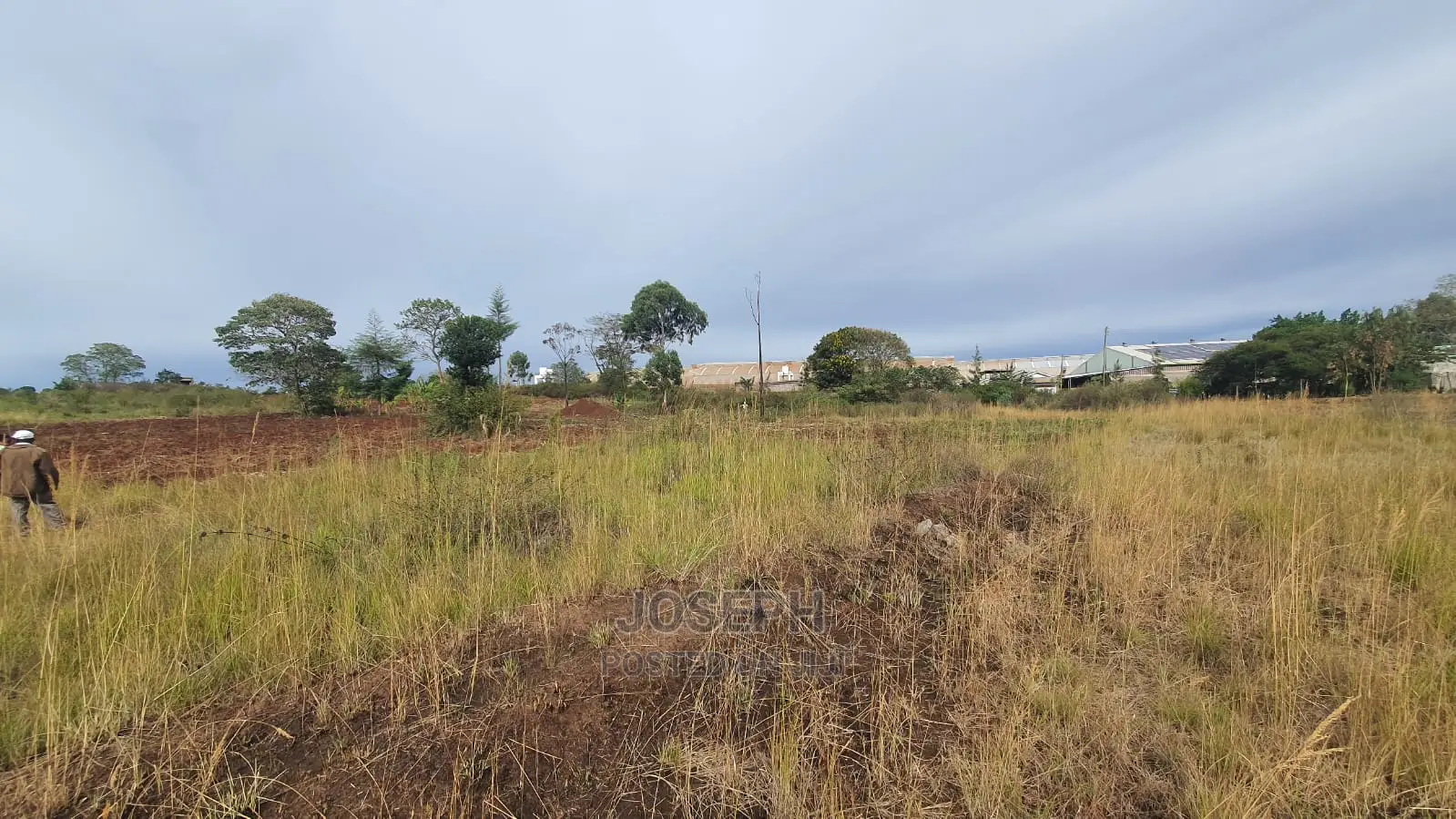 Affordable 1/2 Acre Plot in Thika Westwood Meadows(Karangaita) in Bendor Estate
