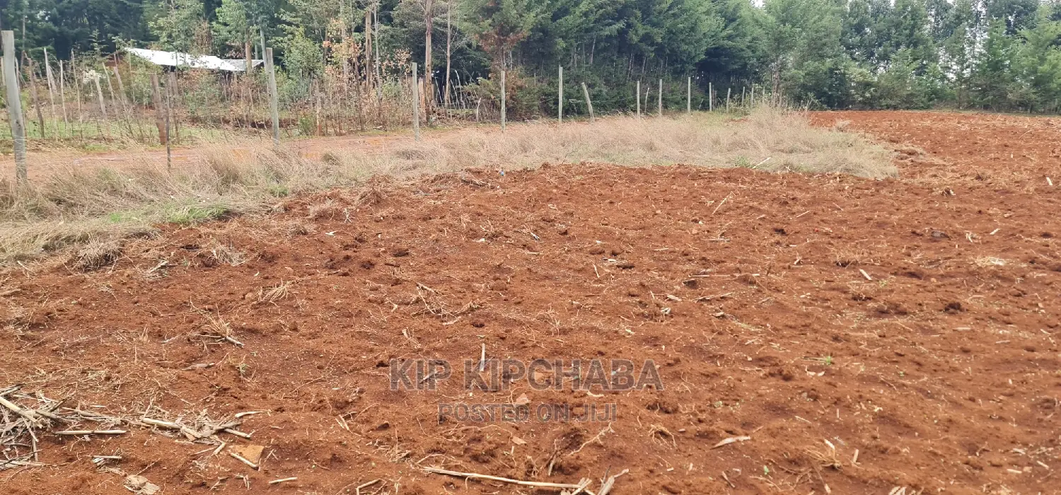 Prime Half-Acre Land for Sale in Kapseret, Kericho Ndogo, Eldoret - Real Estate Offer in Kapseret