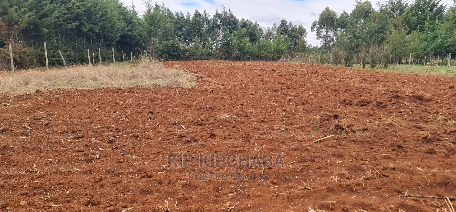 Prime Half-Acre Land for Sale in Kapseret, Kericho Ndogo, Eldoret - Real Estate Offer in Kapseret