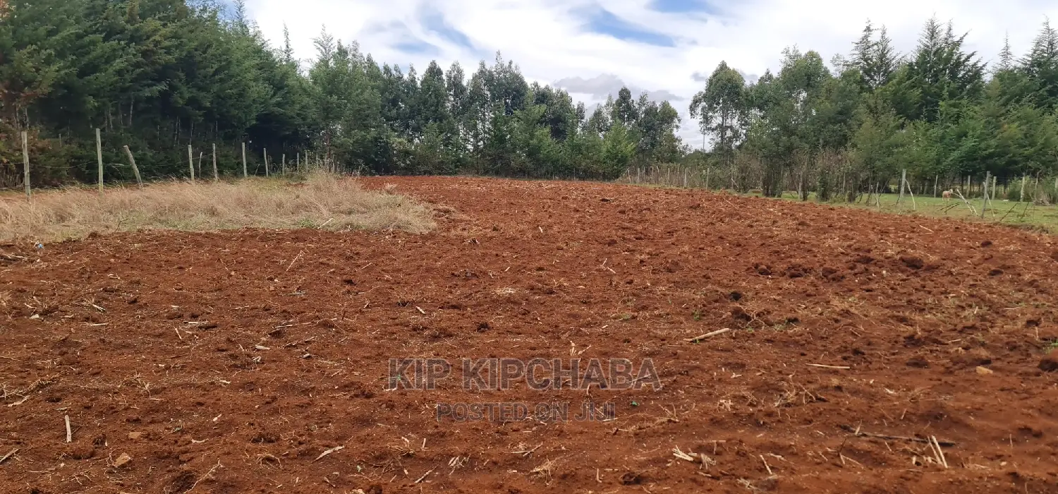 Prime Half-Acre Land for Sale in Kapseret, Kericho Ndogo, Eldoret - Real Estate Offer in Kapseret