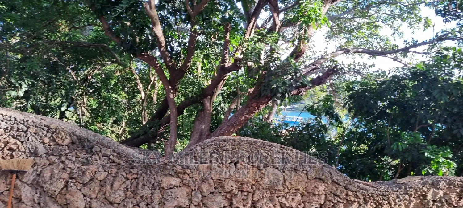 Beachfront Holiday Studio - Book Now for Your Stay in Mtwapa