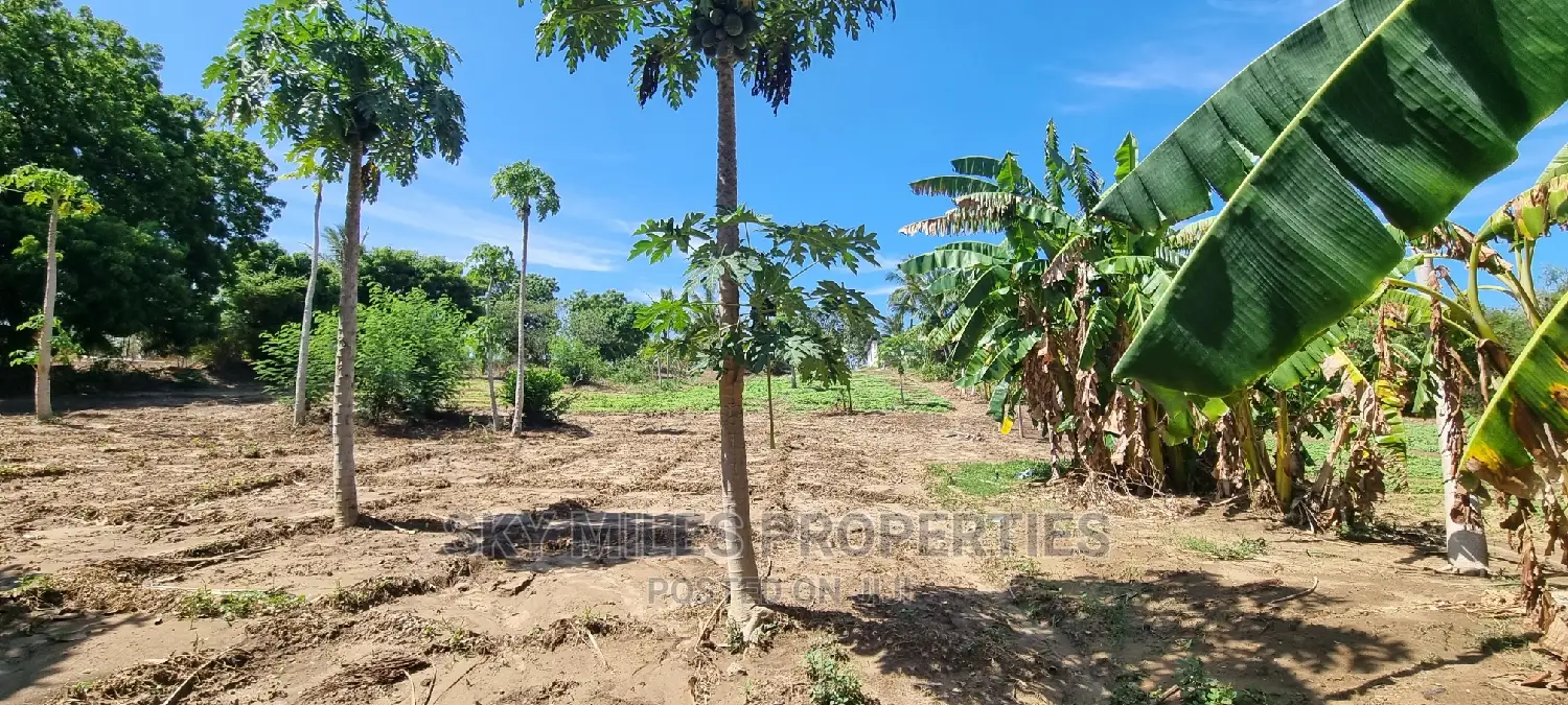 Buy 3 Acre Land in Mtwapa: Your Dream Property Awaits! in Mtwapa
