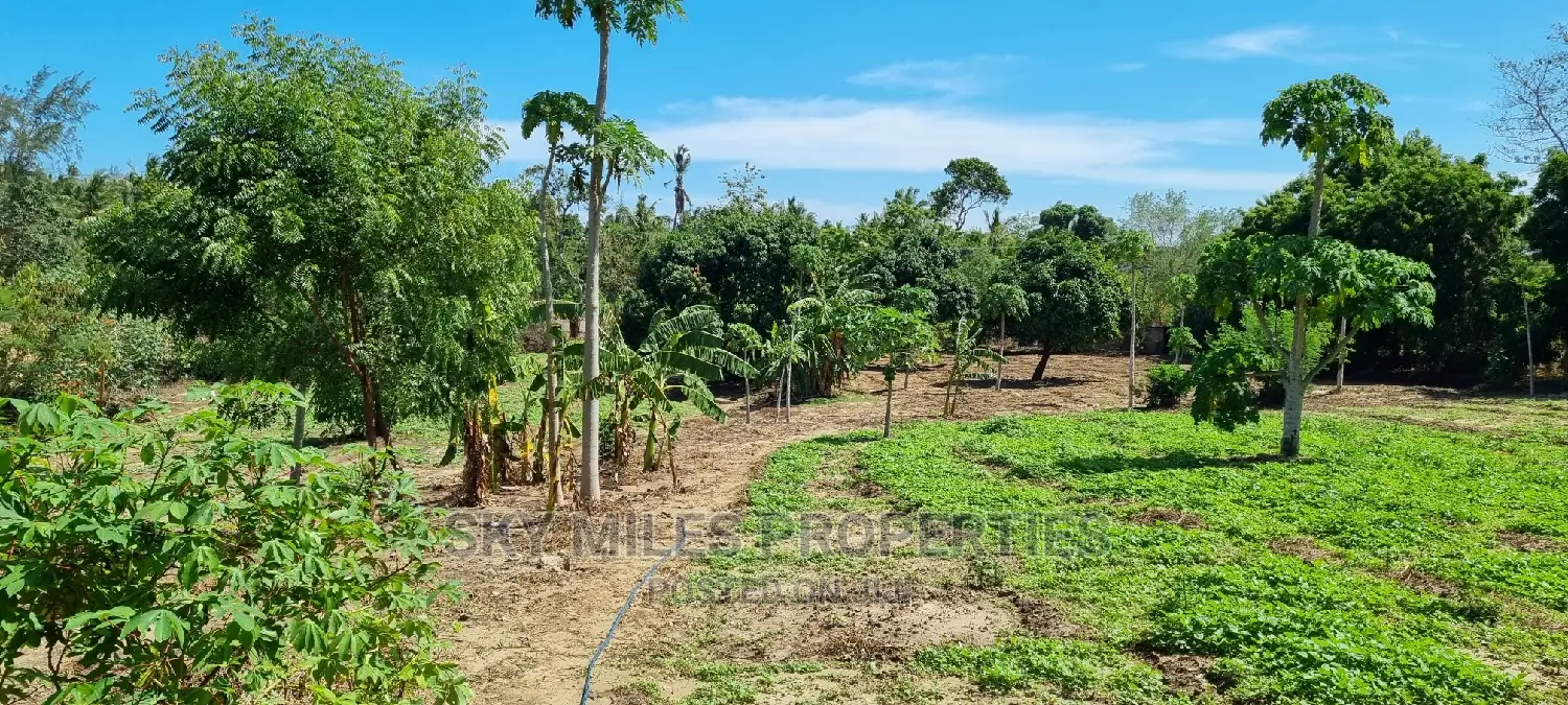 Buy 3 Acre Land in Mtwapa: Your Dream Property Awaits! in Mtwapa