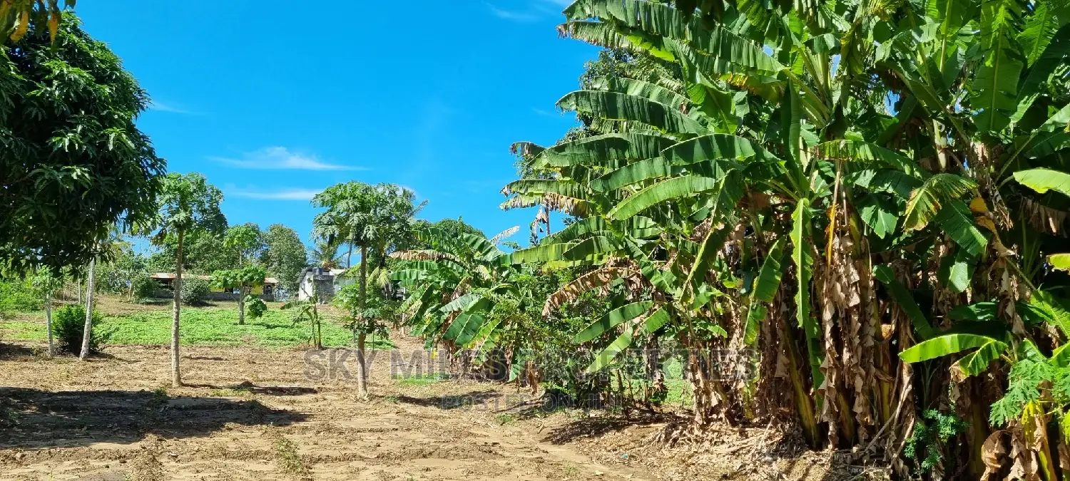 Buy 3 Acre Land in Mtwapa: Your Dream Property Awaits! in Mtwapa