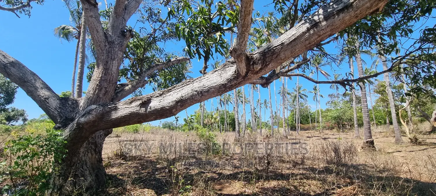 4 Acres of Land: Second Row from Highway - Perfect for Development! in Kikambala