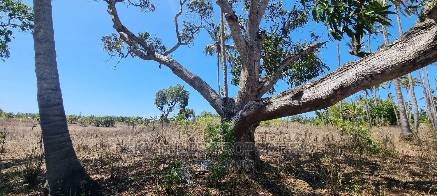 4 Acres of Land: Second Row from Highway - Perfect for Development! in Kikambala