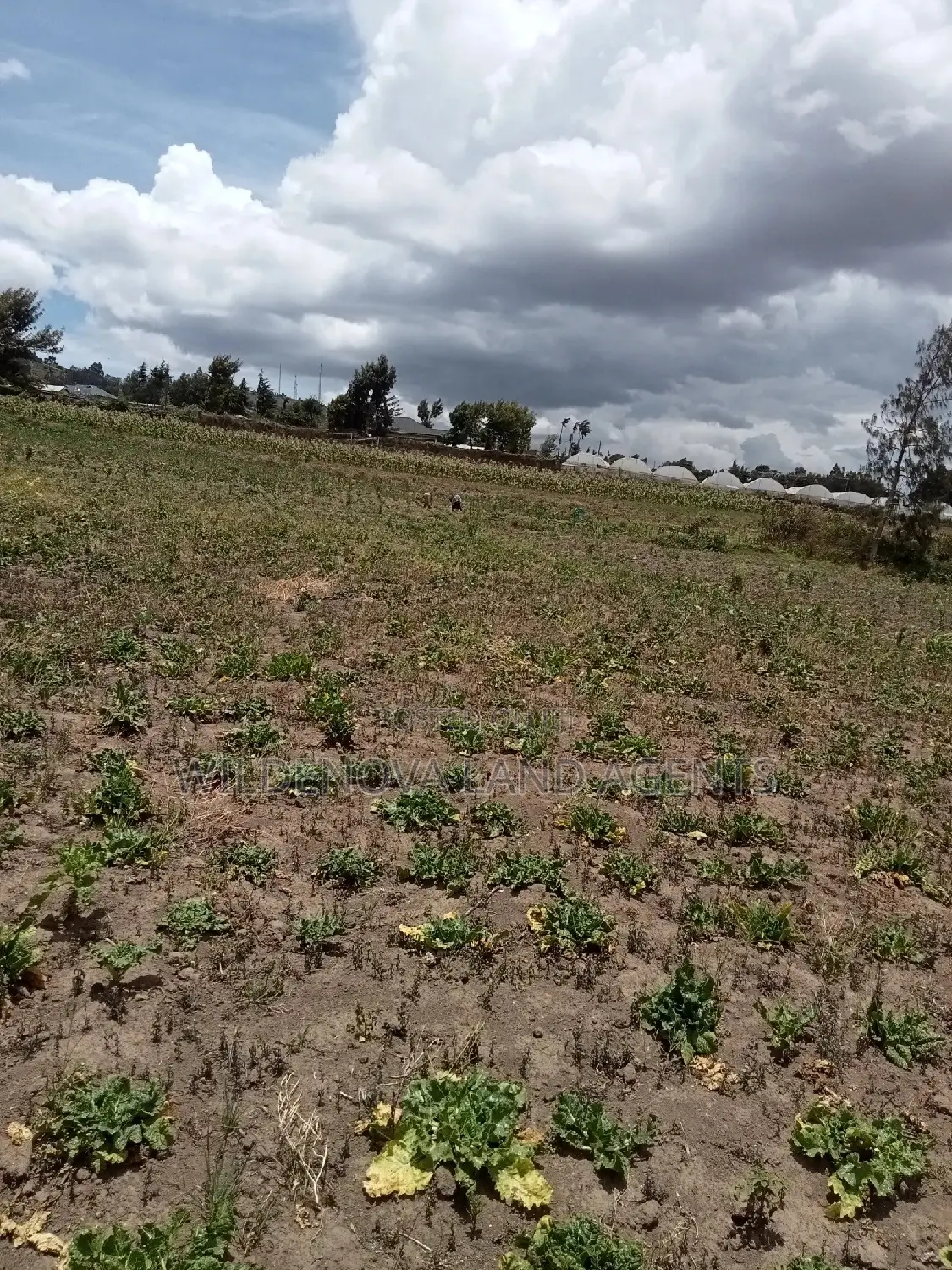 Ihindu Market: Plot Sale in Naivasha - Great Opportunity in Karai