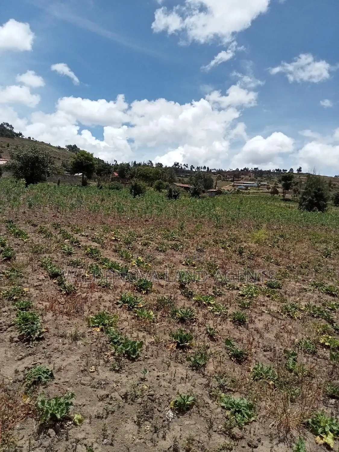 Ihindu Market: Plot Sale in Naivasha - Great Opportunity in Karai