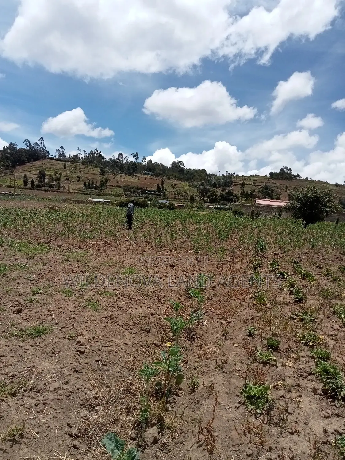 Ihindu Market: Plot Sale in Naivasha - Great Opportunity in Karai