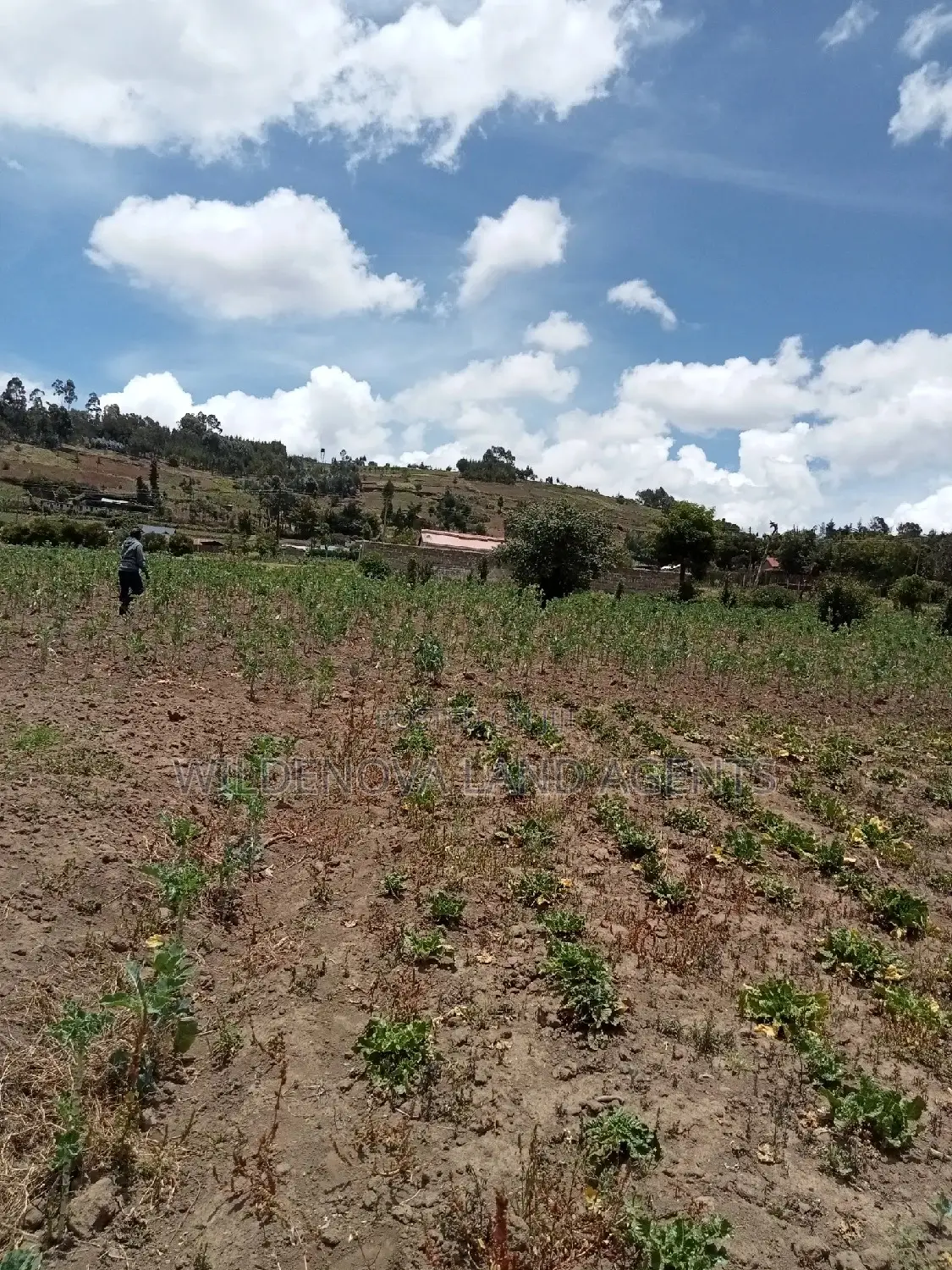 Ihindu Market: Plot Sale in Naivasha - Great Opportunity in Karai