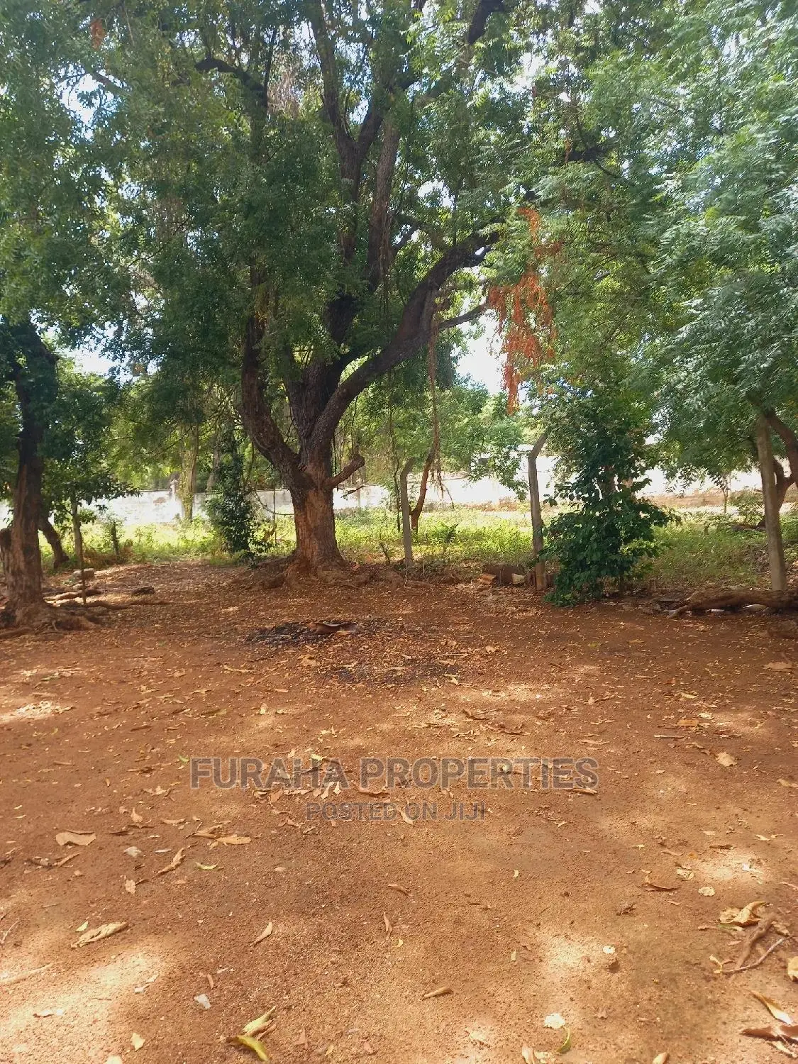 Two-Acre Land for Sale in Old Nyali - Dream Investment Awaits in Nyali