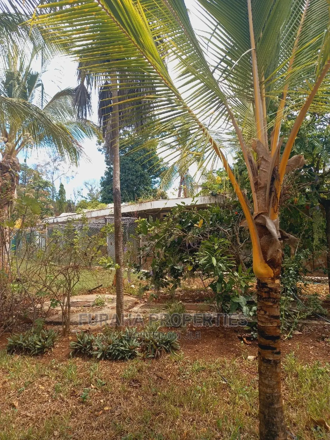 Two-Acre Land for Sale in Old Nyali - Dream Investment Awaits in Nyali
