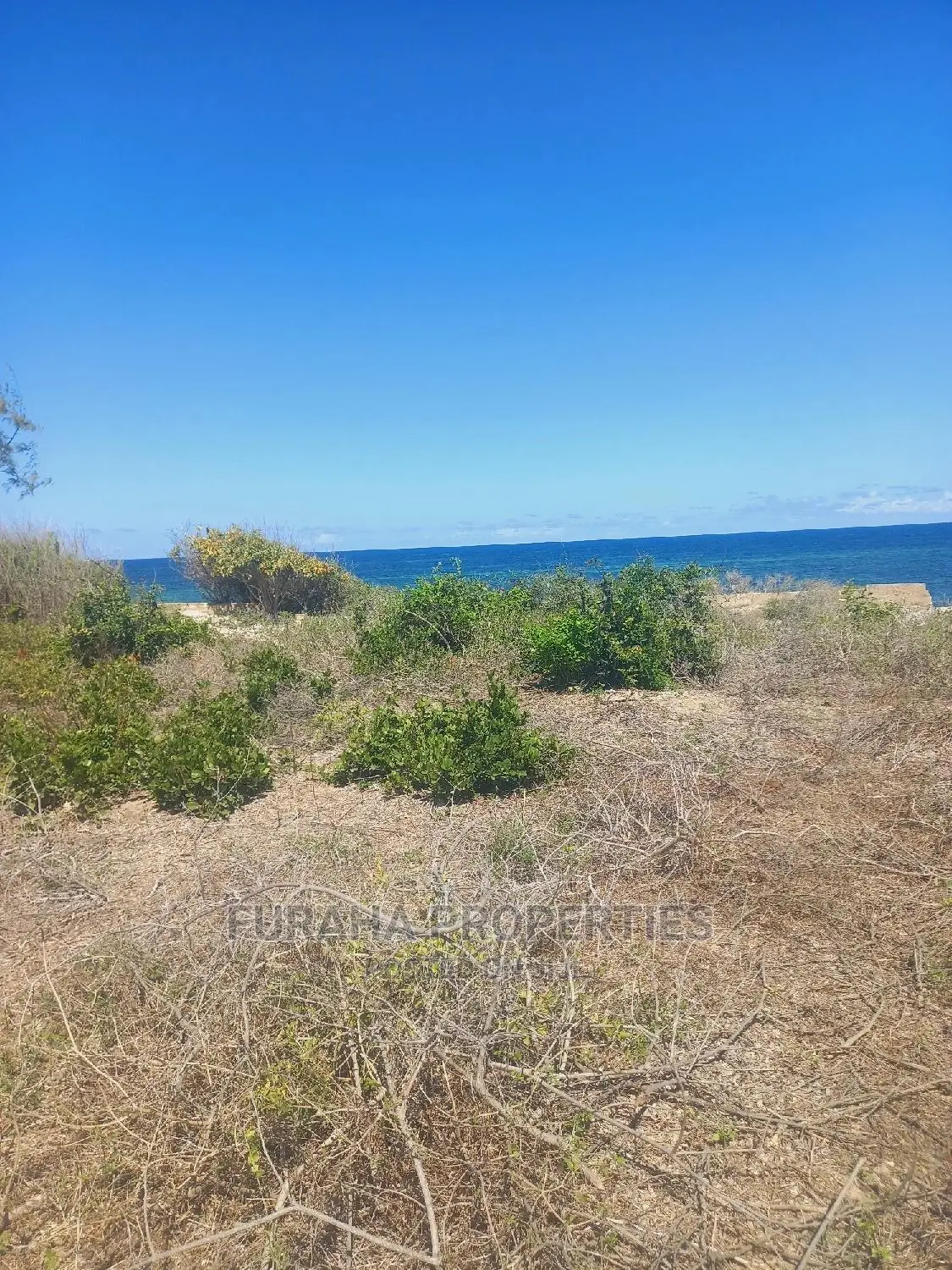 1 Acre Beachfront Land in Kilifi, Bofa - For Sale Today in Kilifi Town