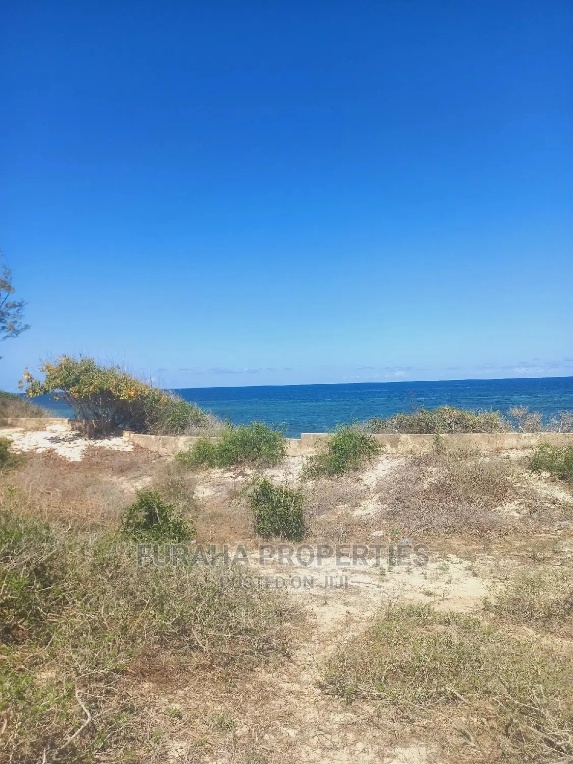 1 Acre Beachfront Land in Kilifi, Bofa - For Sale Today in Kilifi Town