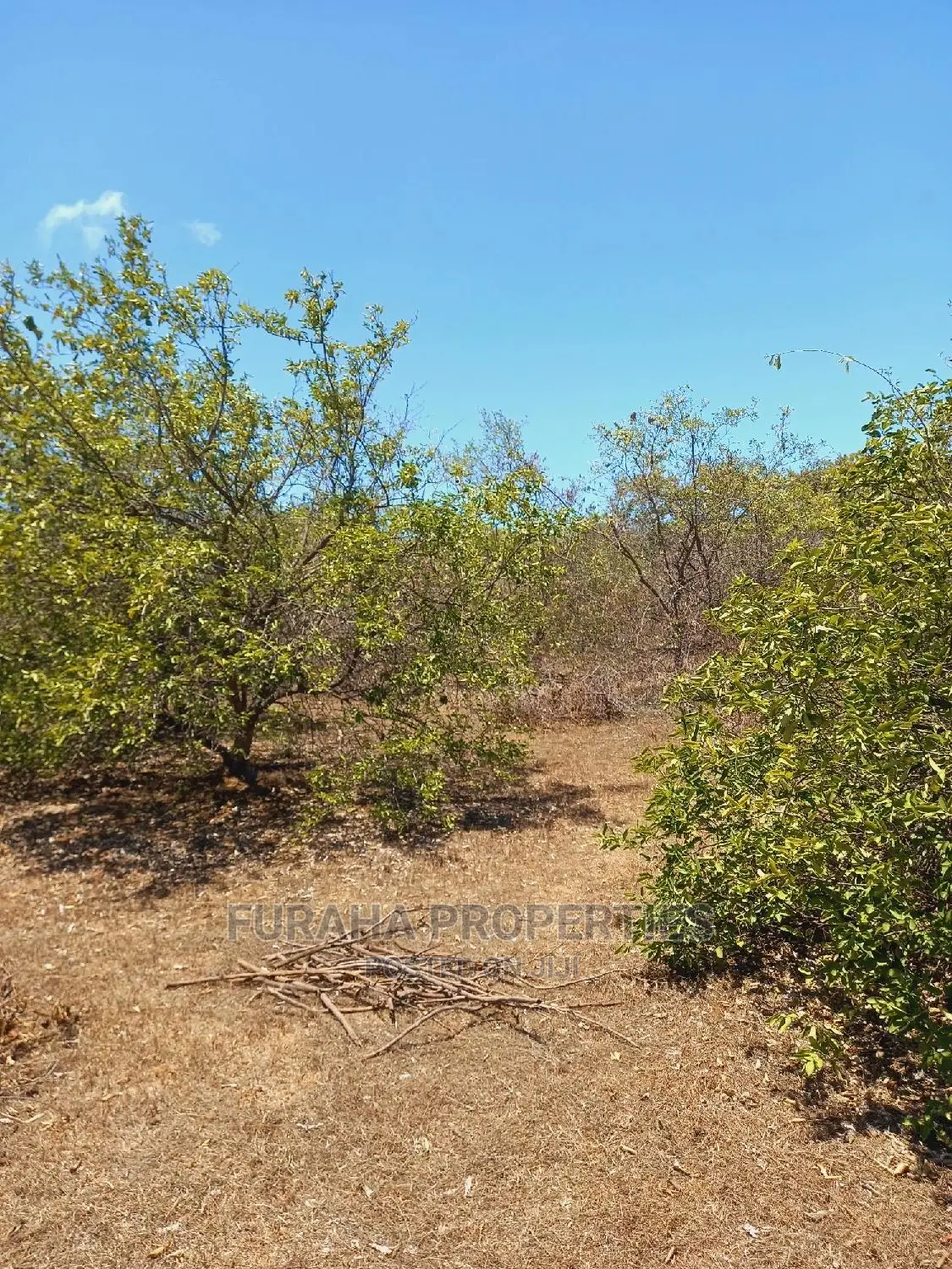 100 Acres of Land in Kilifi for Sale in Kilifi Town