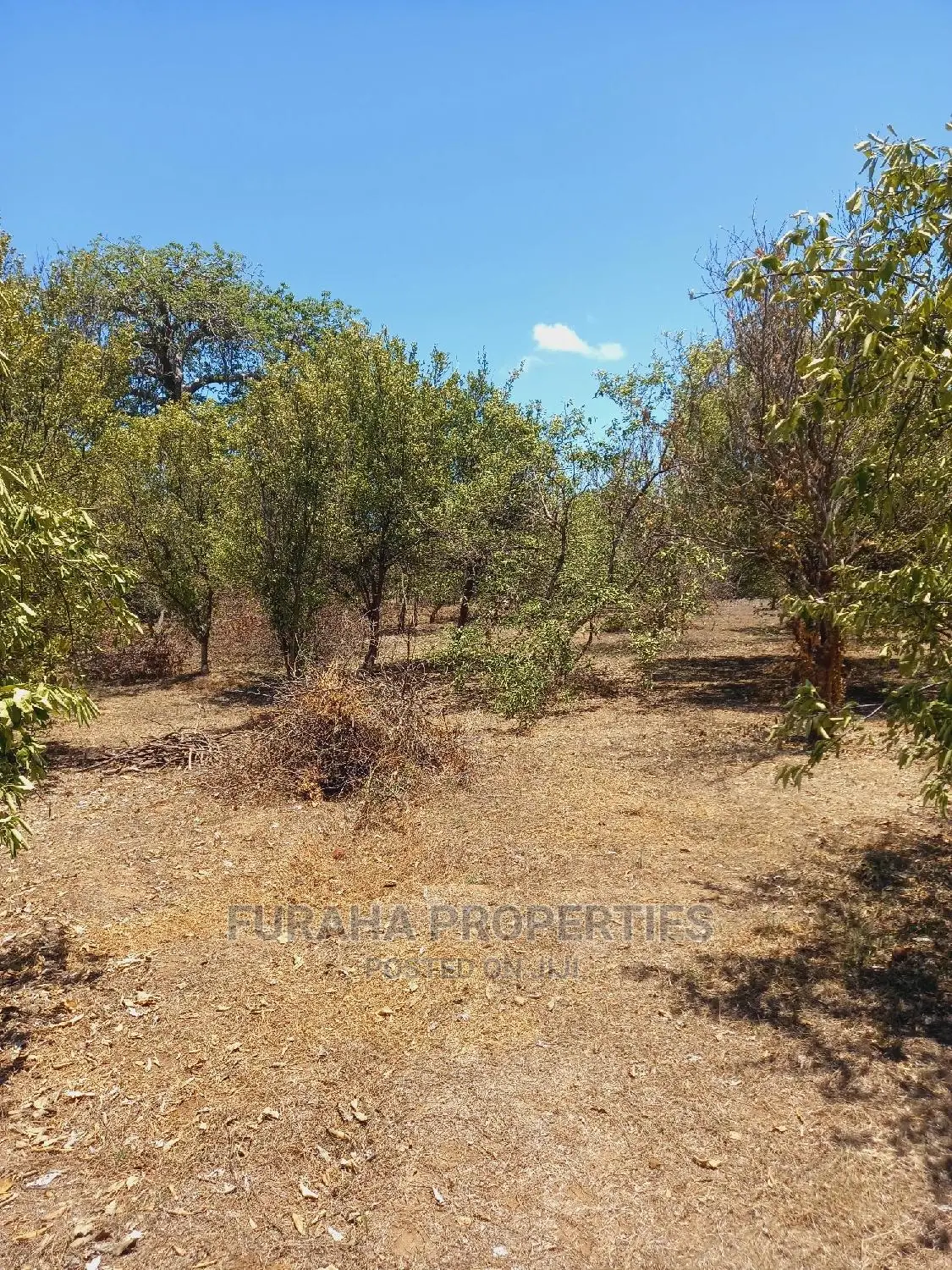 100 Acres of Land in Kilifi for Sale in Kilifi Town
