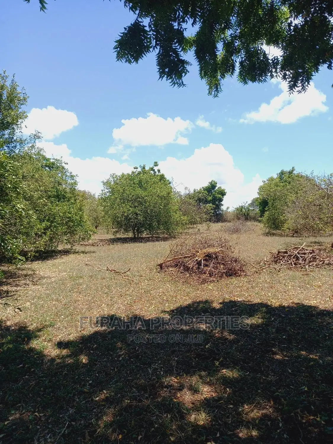 100 Acres of Land in Kilifi for Sale in Kilifi Town