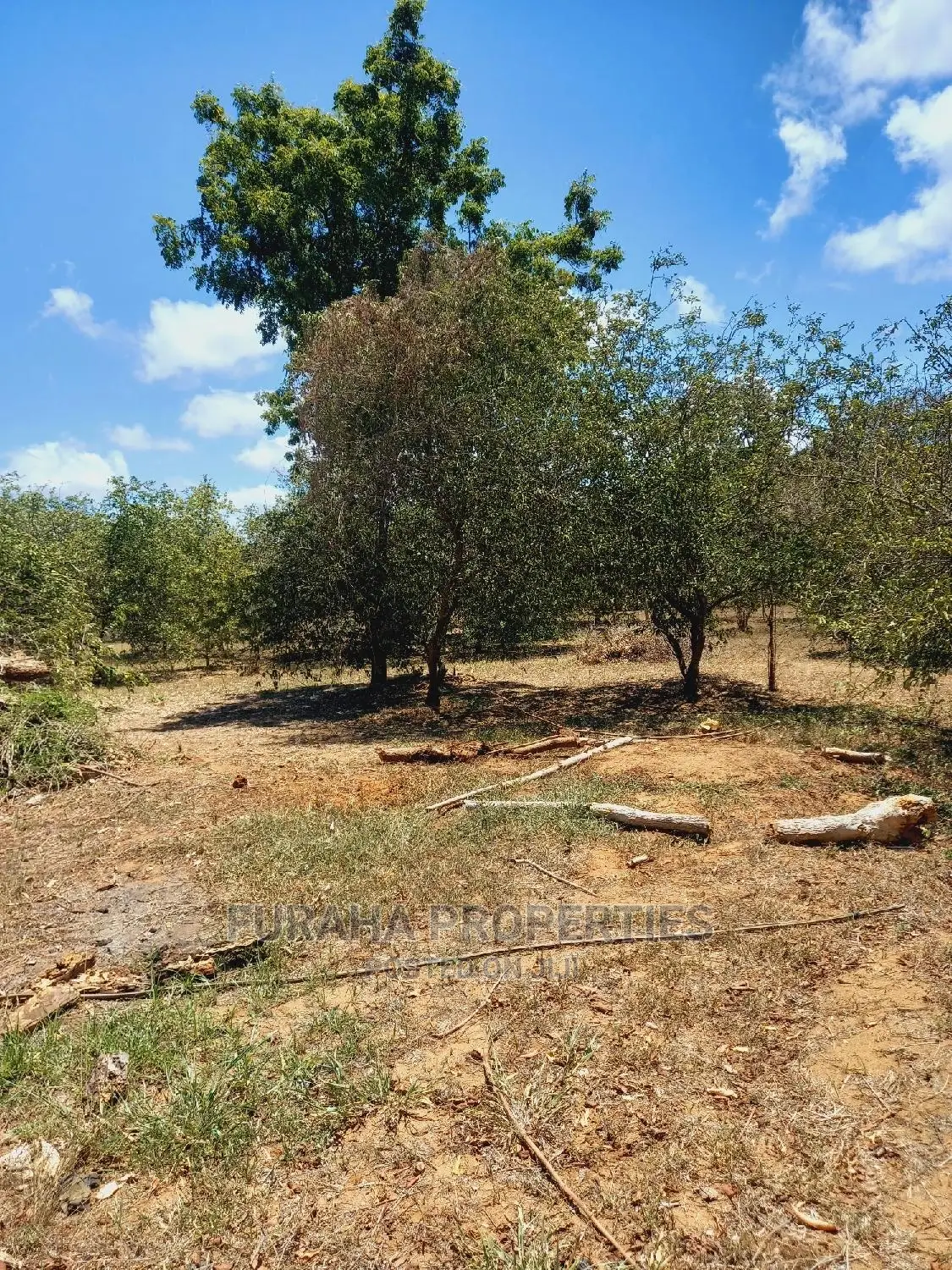 100 Acres of Land in Kilifi for Sale in Kilifi Town