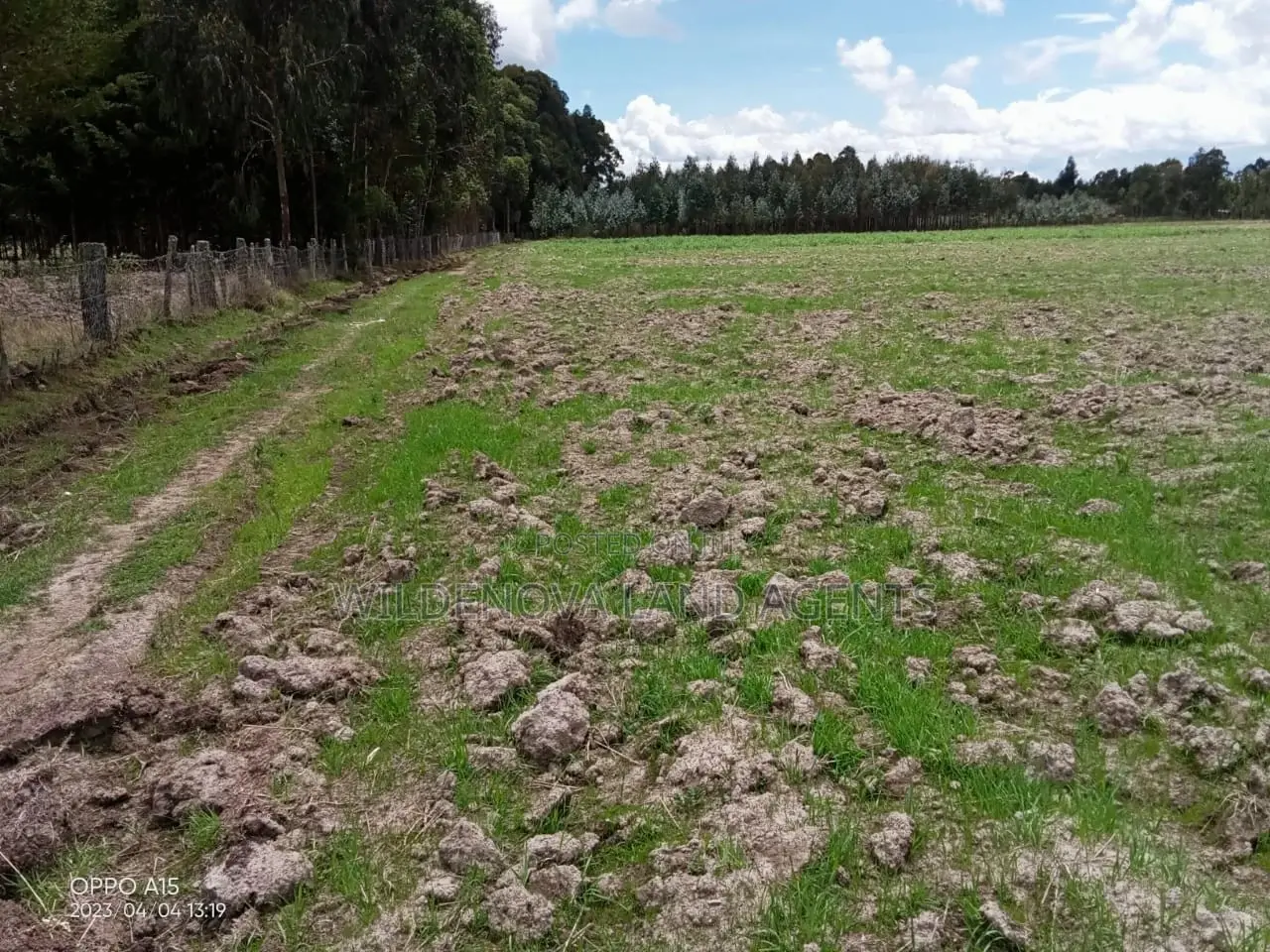 5-Acre Plot in Kinangop Enginear - Seize This Unique Land Investment Today! in North Kinangop