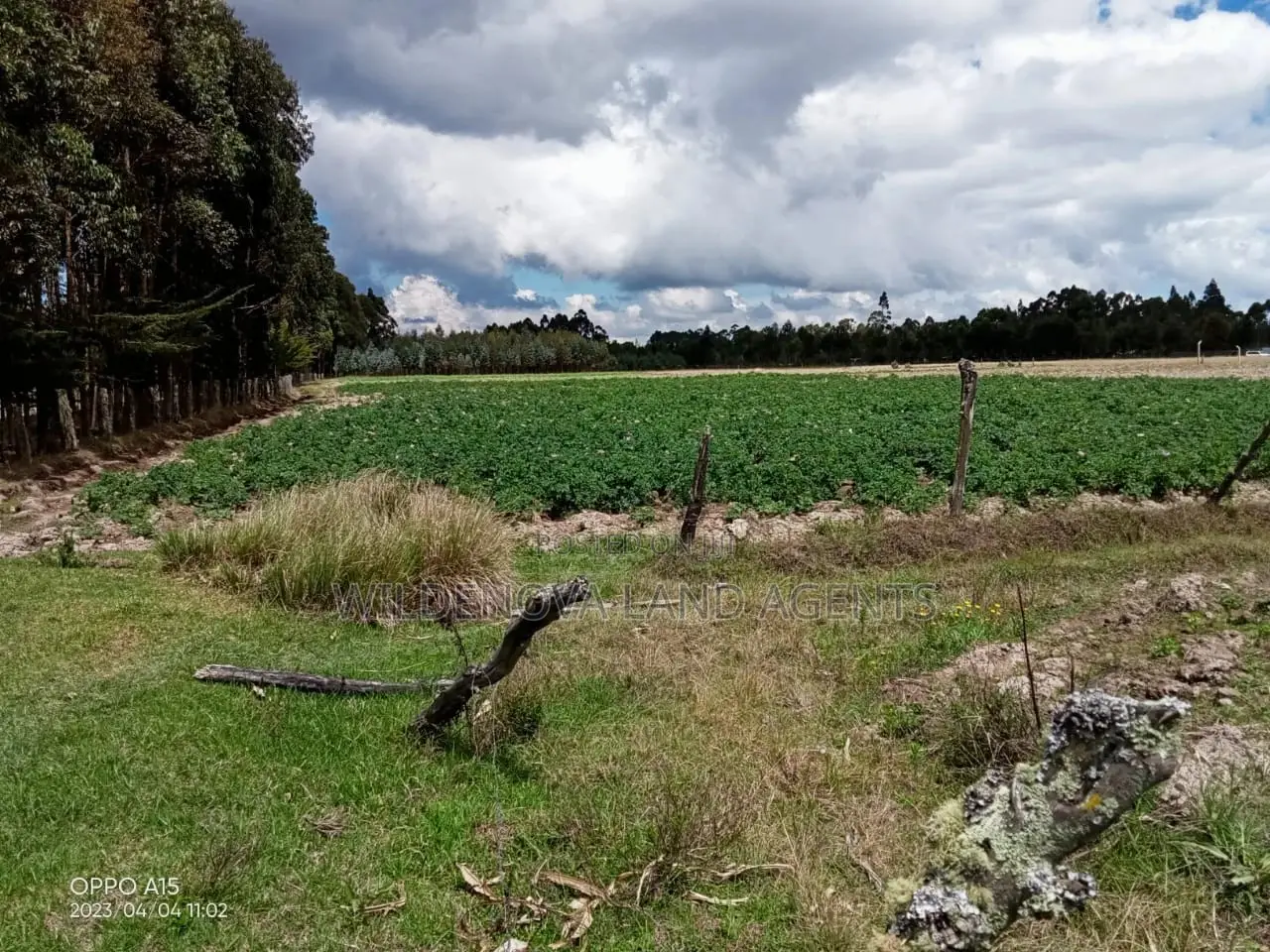 5-Acre Plot in Kinangop Enginear - Seize This Unique Land Investment Today! in North Kinangop
