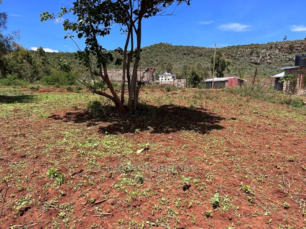 Spacious 100ft x 50ft Plot for Sale in Kikuyu, Nachu - Perfect Investment Opportunity in Karai