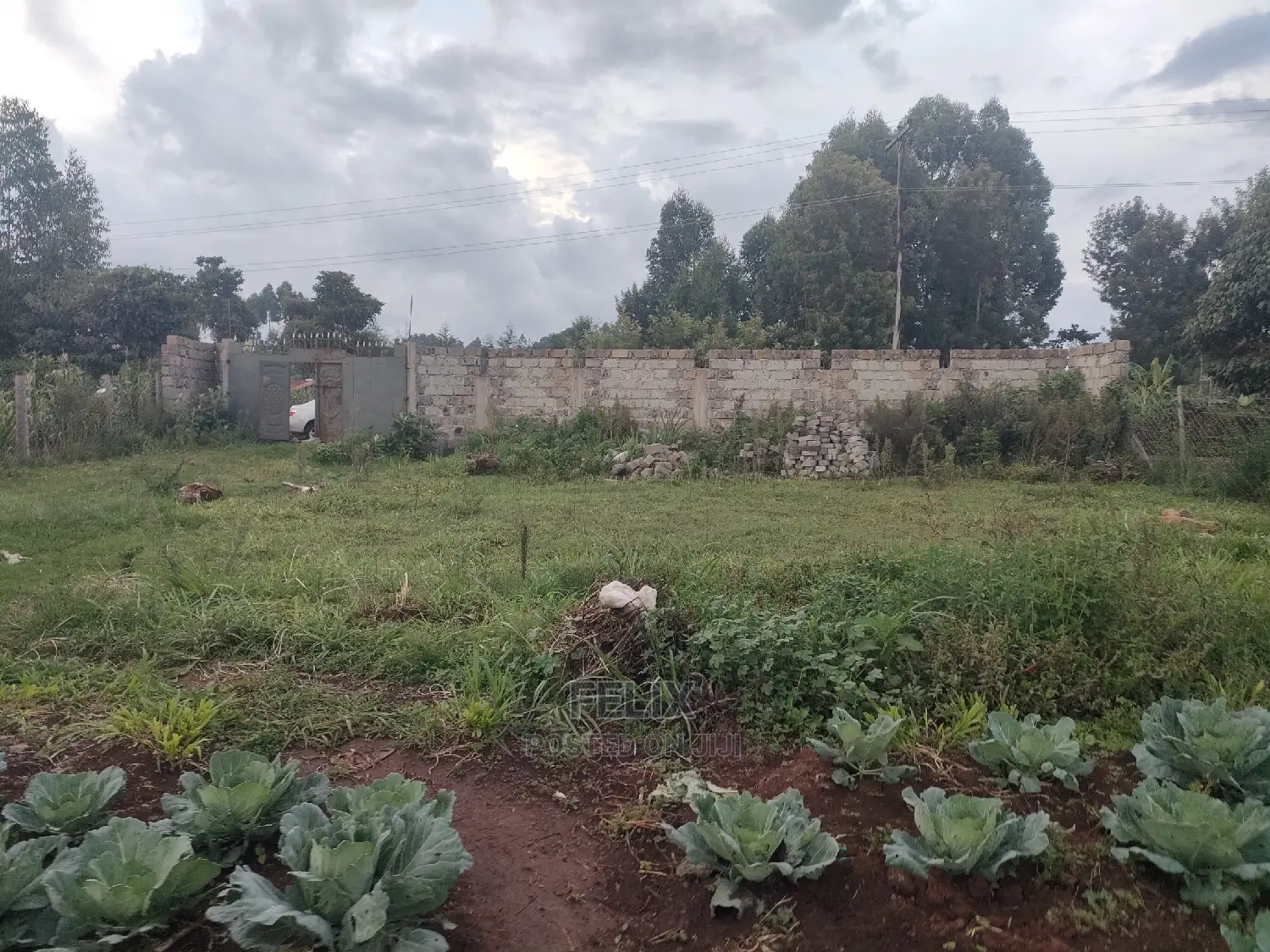 Karatina /Giakibei 1 Acre in Karatina Town