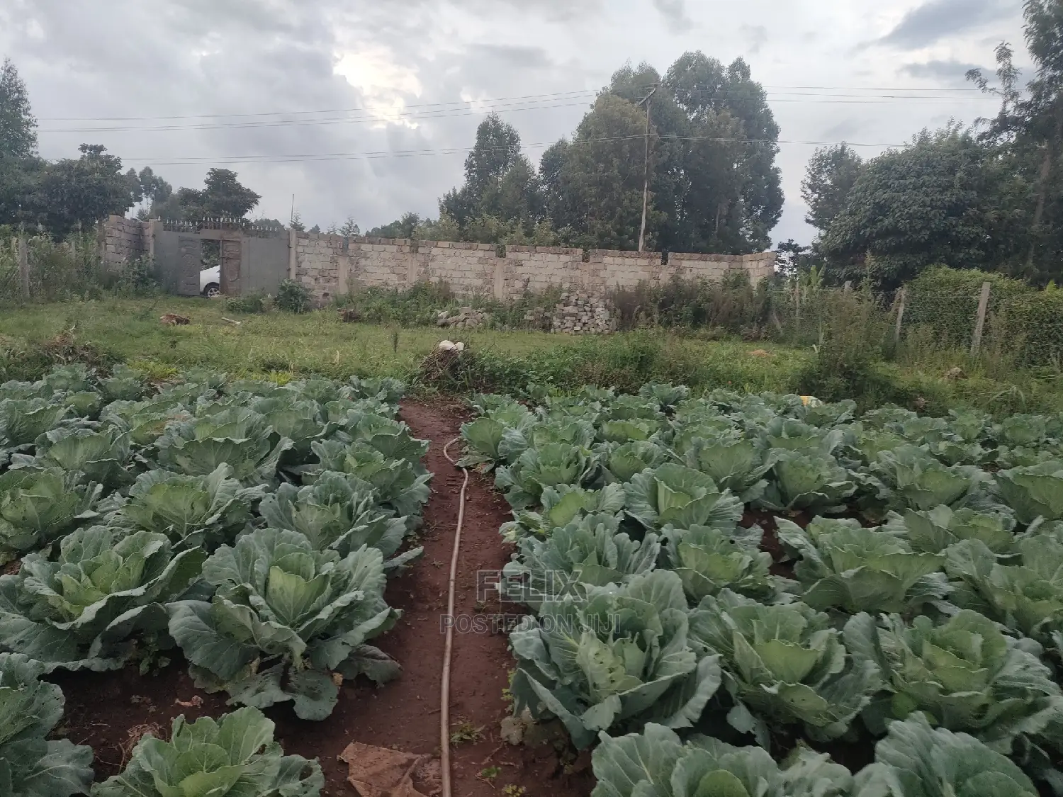 Karatina /Giakibei 1 Acre in Karatina Town