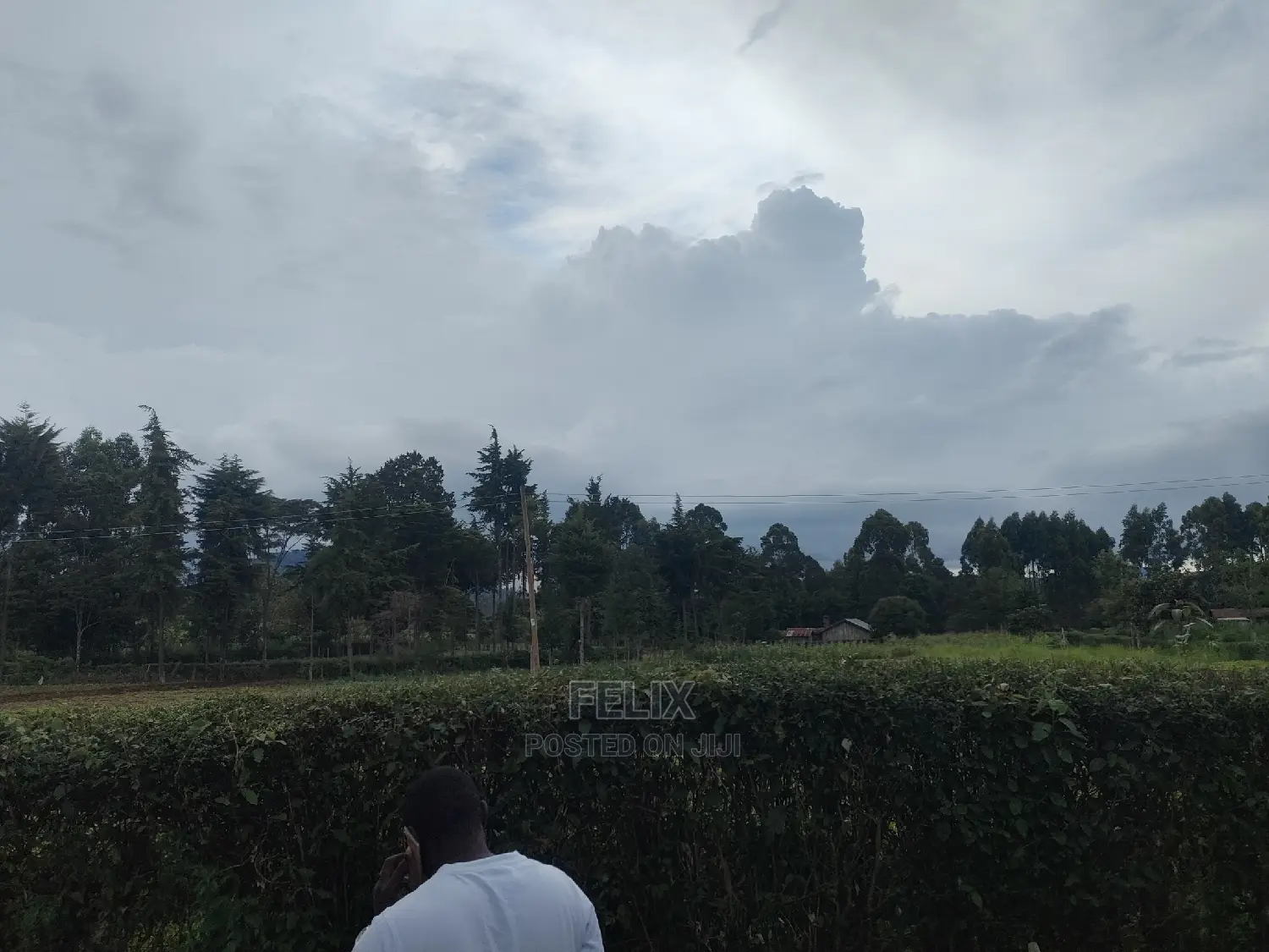 Karatina/Gitunduti 1 Acre in Karatina Town