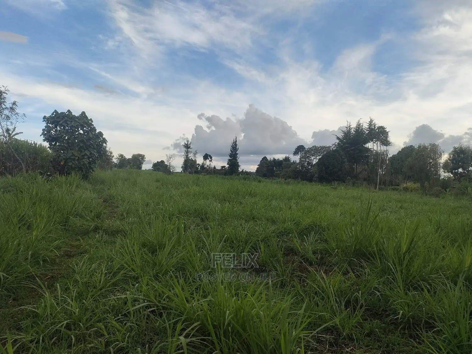 Karatina/Gitunduti 1 Acre in Karatina Town