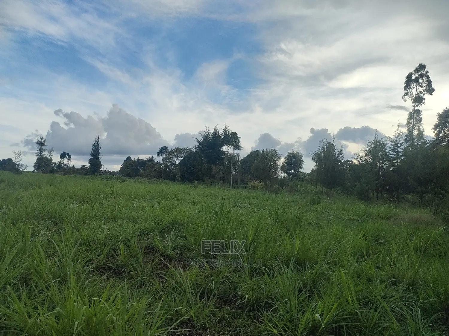 Karatina/Gitunduti 1 Acre in Karatina Town