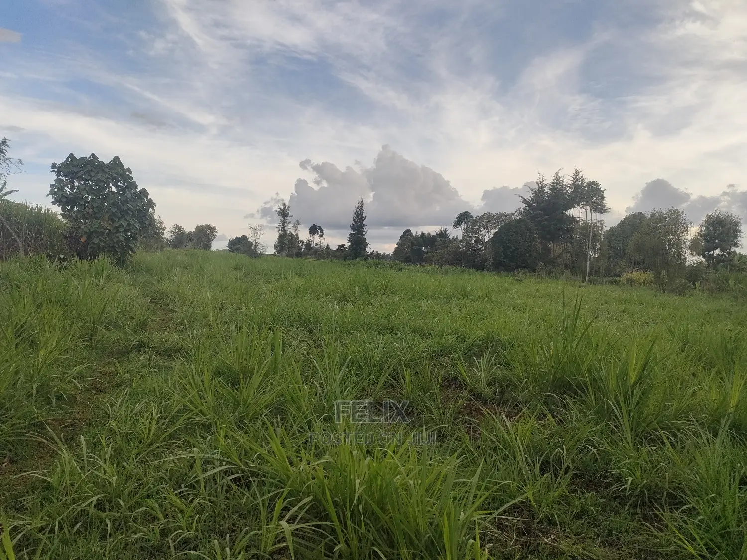 Karatina/Gitunduti 1 Acre in Karatina Town