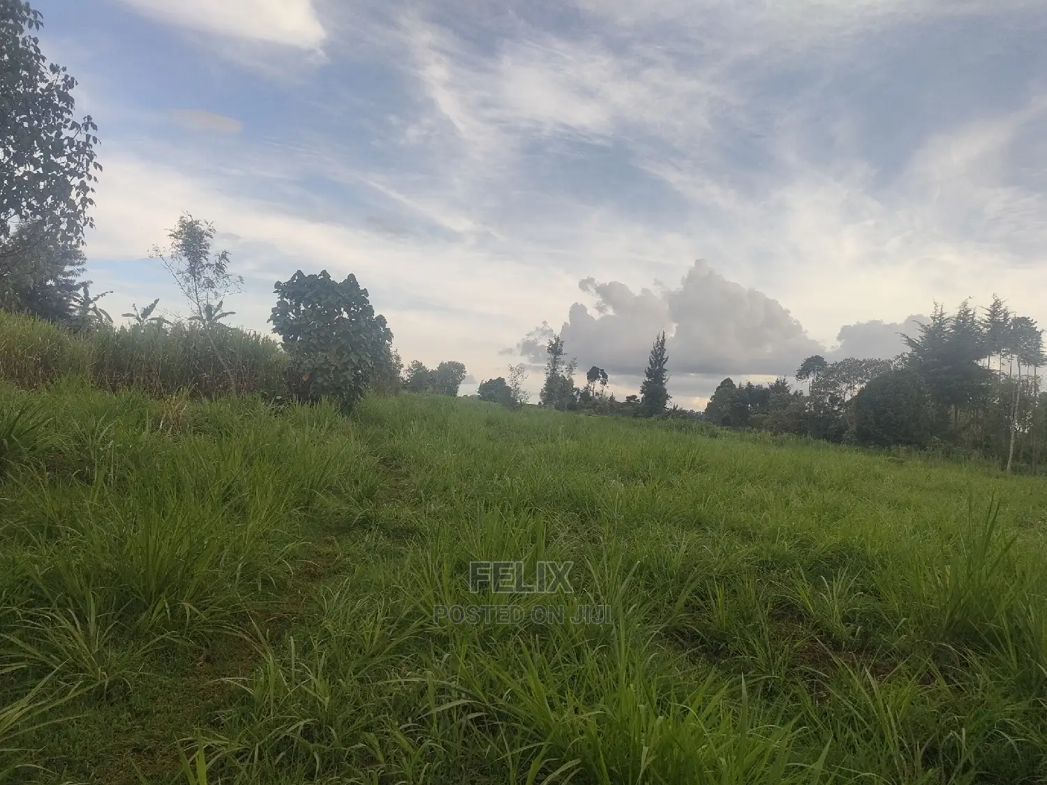 Karatina/Gitunduti 1 Acre in Karatina Town