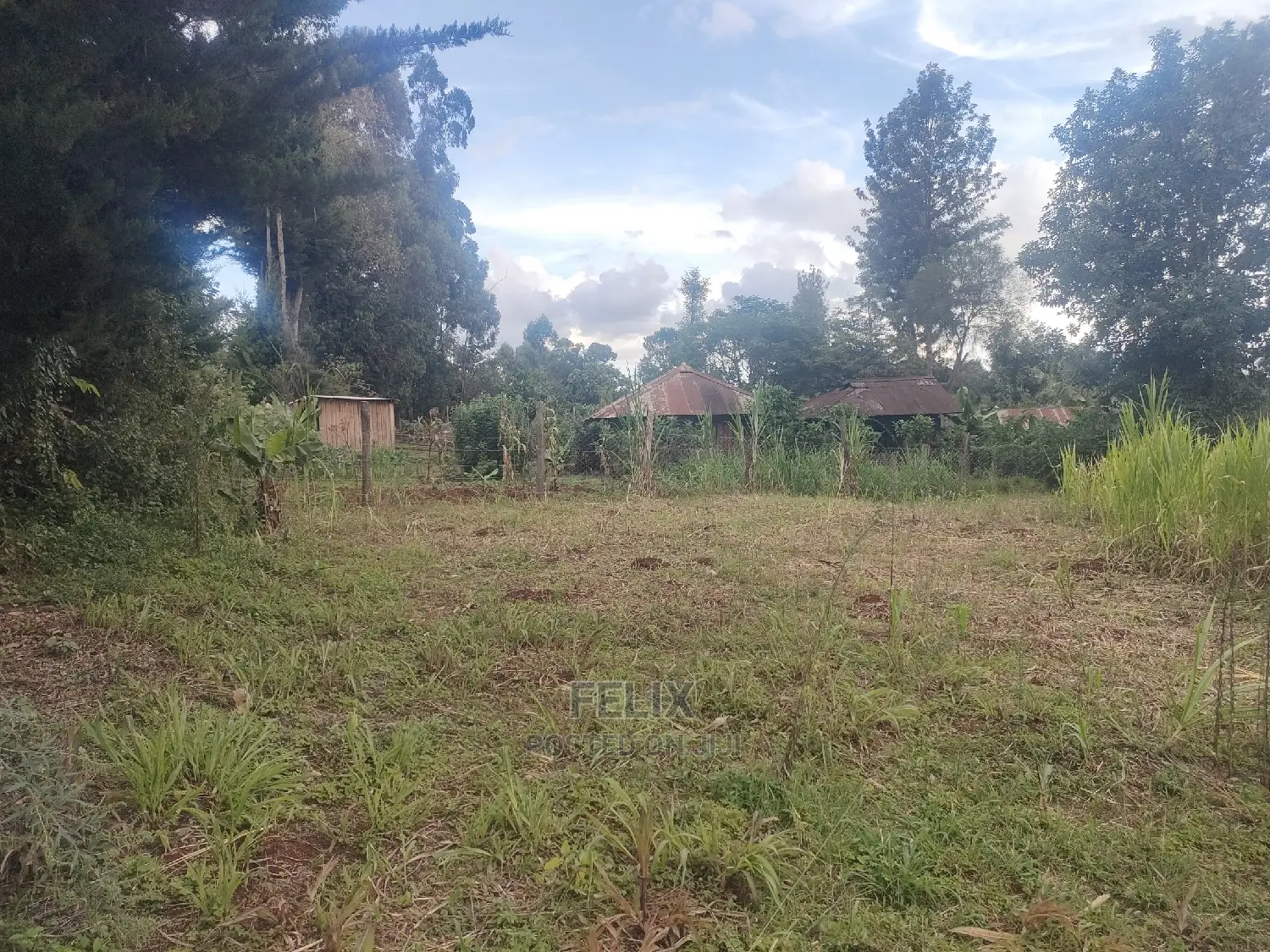 Karatina/Kanjuri 1 Acre in Karatina Town