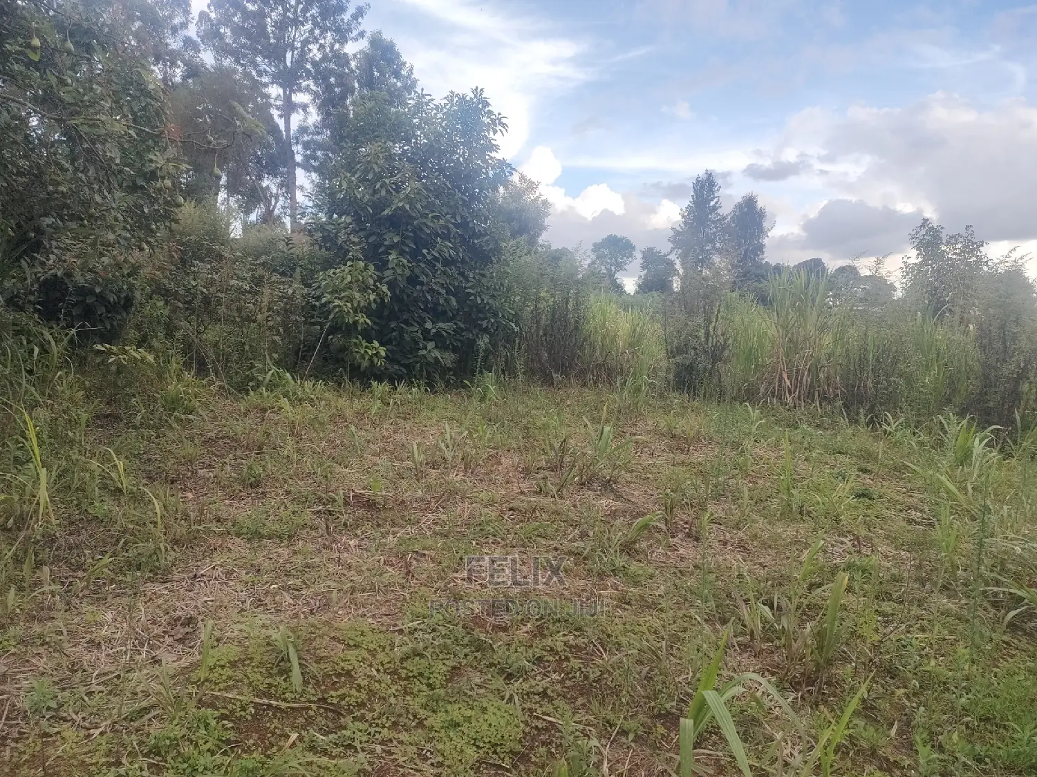 Karatina/Kanjuri 1 Acre in Karatina Town