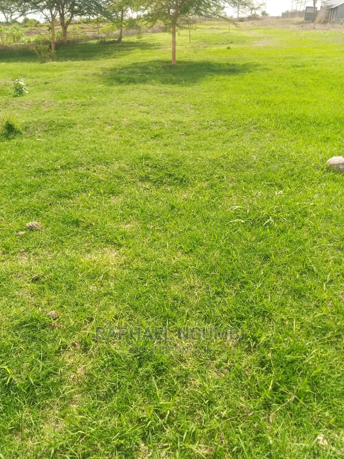 1/2 Acre Land for Sale in Thaitha Muumandu in Machakos Town