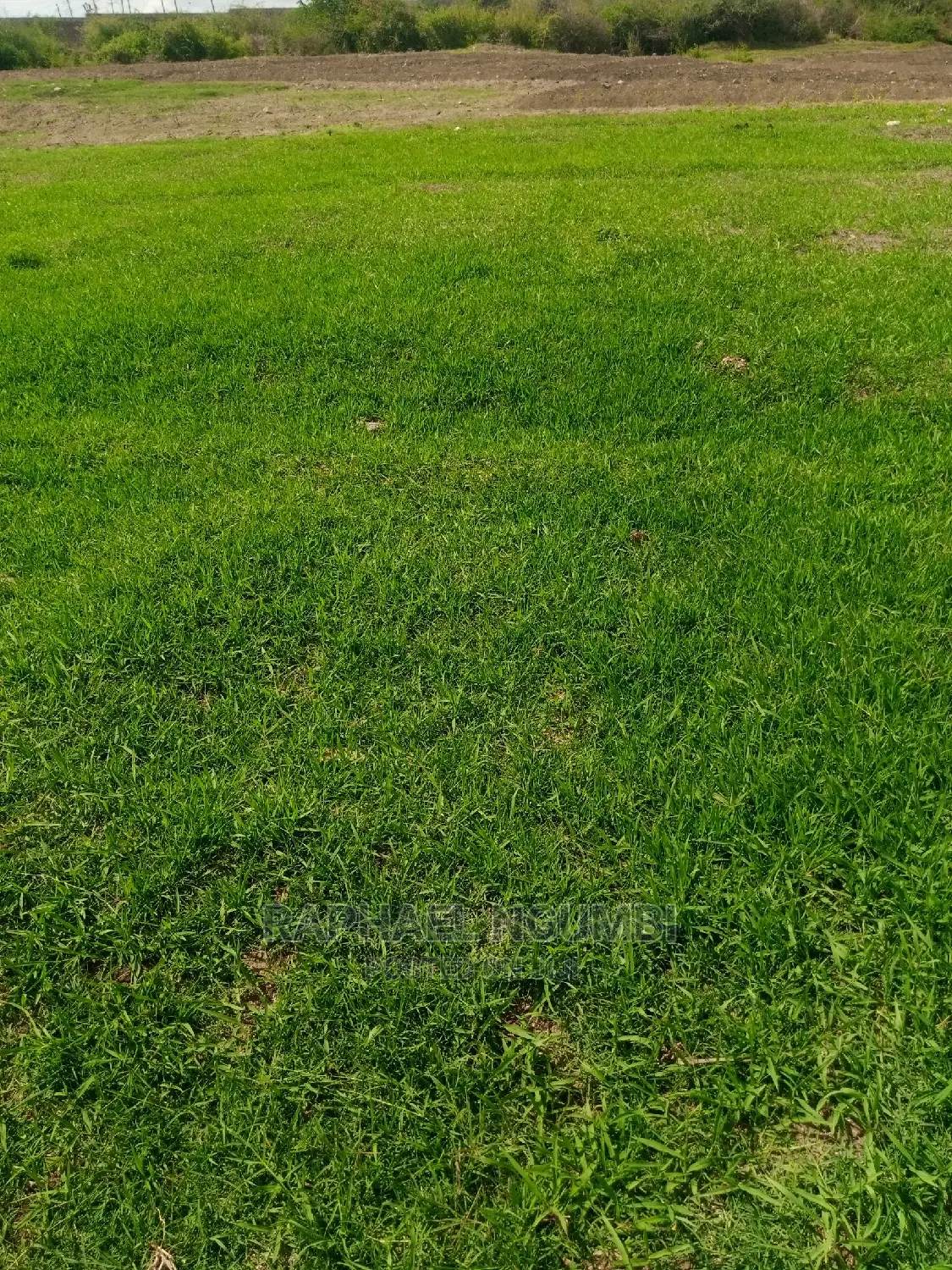 1/2 Acre Land for Sale in Thaitha Muumandu in Machakos Town
