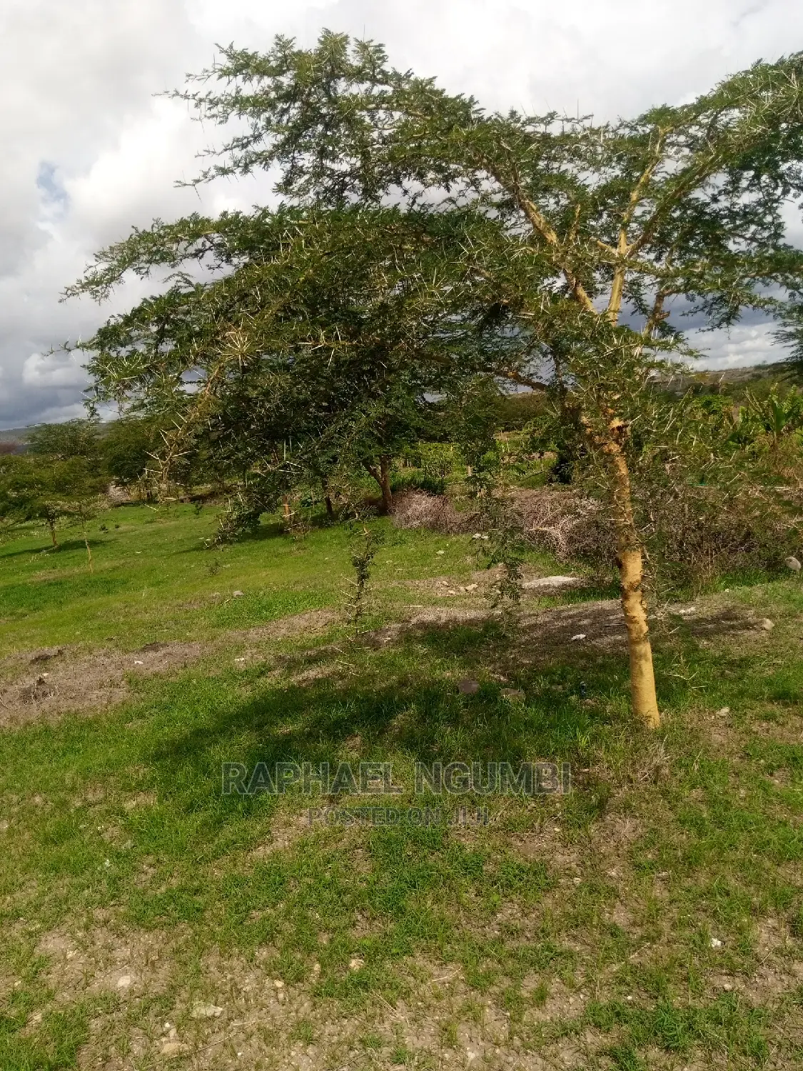 10-Acre Land in Konza Malili - Perfect for Real Estate Investment in Machakos Town