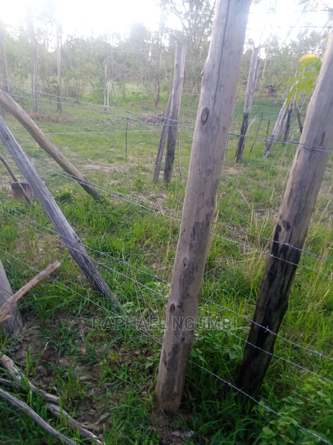 Invest in Prime Plots: Limited Opportunities, High Returns in Machakos Town